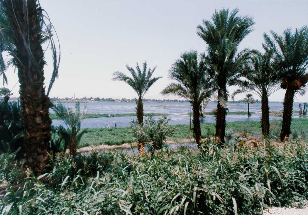 Luxor   Nile River